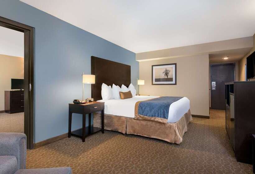 酒店 Wyndham Garden Texarkana