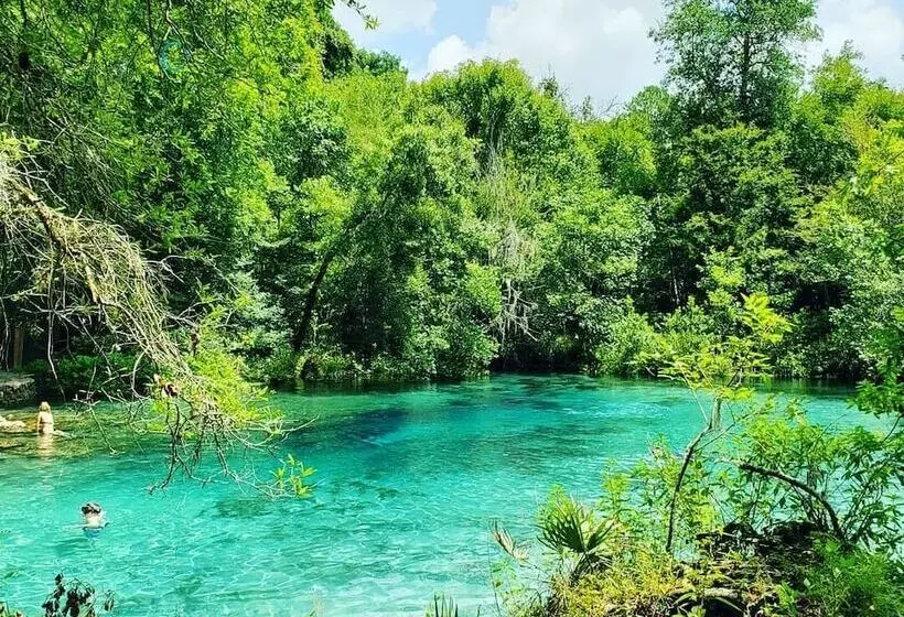 Motel Steinhatchee River Inn And Marina