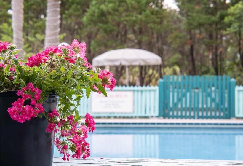 فندق على الطريق Steinhatchee River Inn And Marina