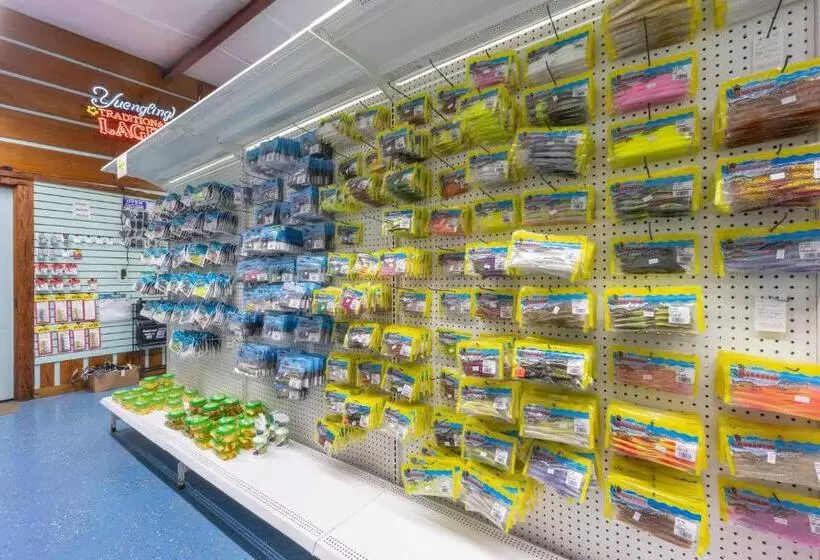 Motel Steinhatchee River Inn And Marina