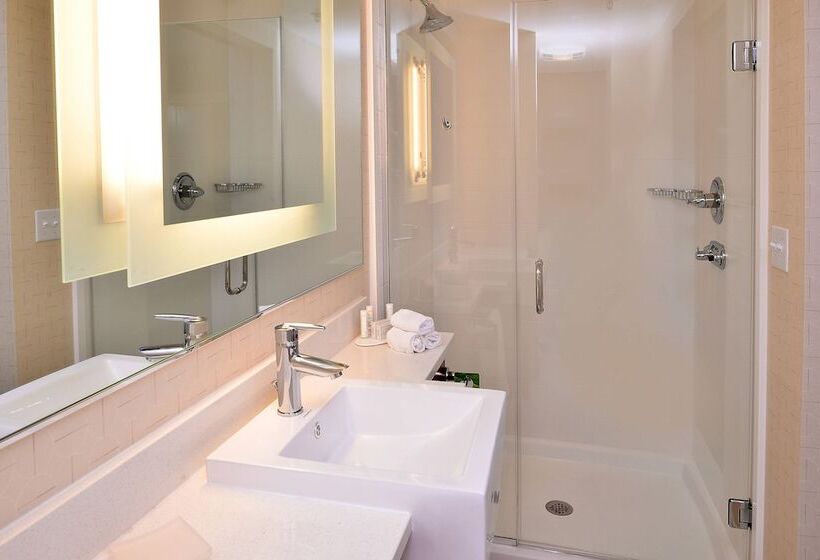 Springhill Suites By Marriott Voorhees Mt. Laurel/cherry Hill