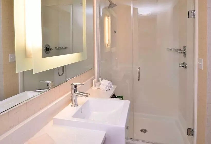 Springhill Suites By Marriott Voorhees Mt. Laurel/cherry Hill