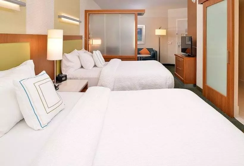 Springhill Suites By Marriott Voorhees Mt. Laurel/cherry Hill