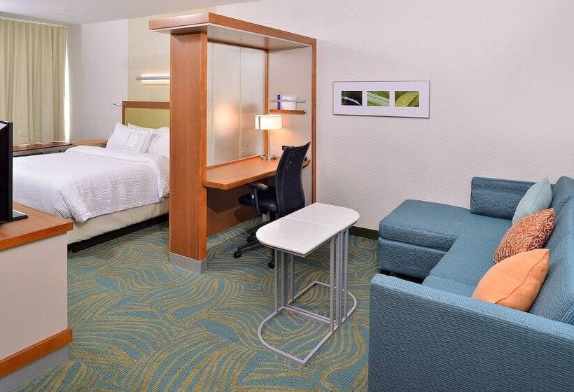 Springhill Suites By Marriott Voorhees Mt. Laurel/cherry Hill