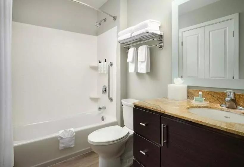 Towneplace Suites San Jose Santa Clara