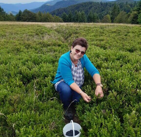 Bed and Breakfast Les Clés De Xoulces