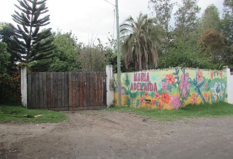 Bed & Breakfast Maria Adelaida Hostal