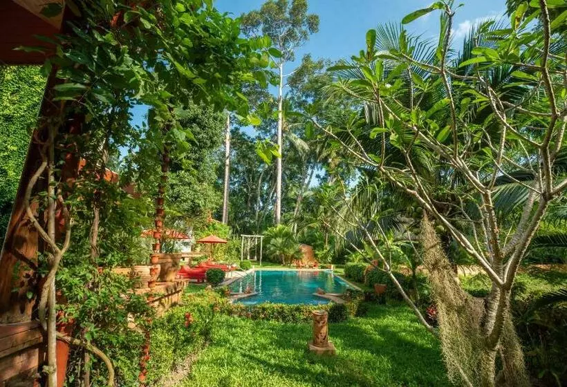リゾートホテル Tropical Bliss Residence
