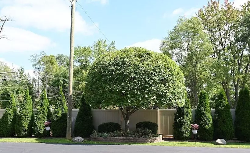 مُتل Fellows Creek Lodge