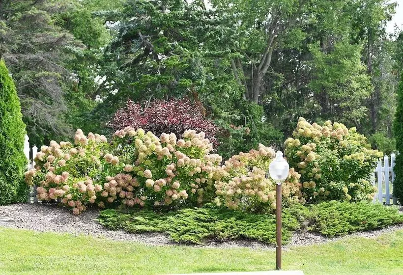 مُتل Fellows Creek Lodge