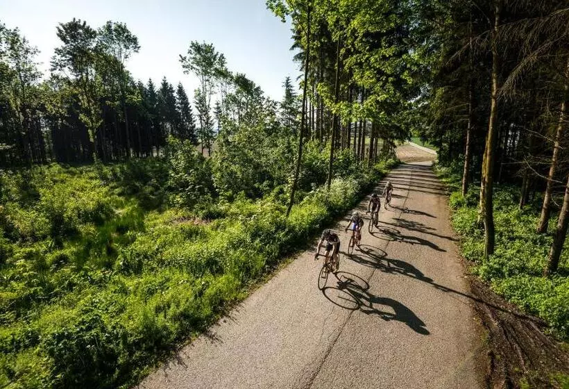 Отель Alexandra