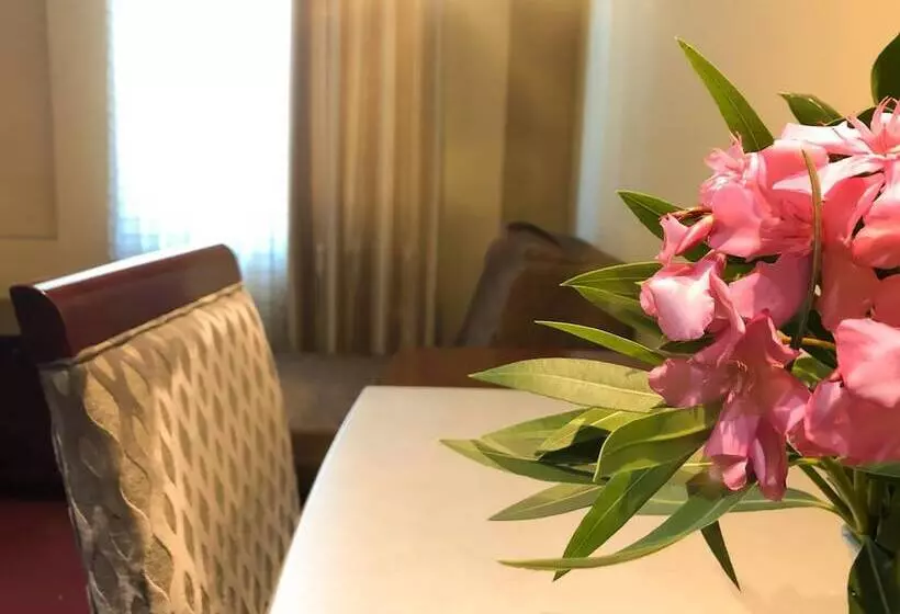 호텔 Kompleksi Arifi