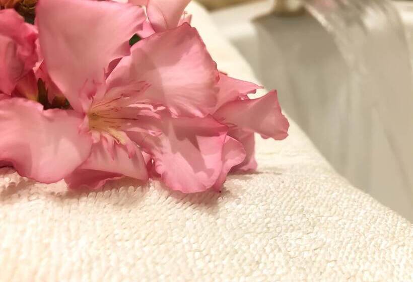 בית מלון כפרי Kompleksi Arifi