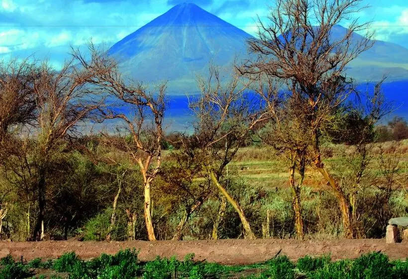 فندق Tierra Atacama