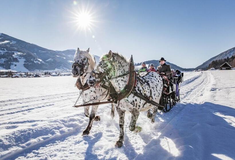 Natur  Und Wellnesshotel Höflehner