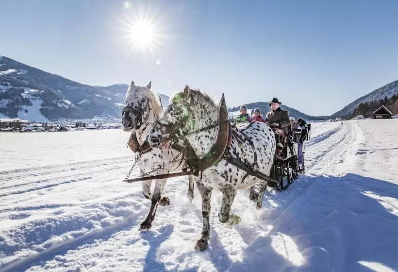 Natur Und Wellnesshotel Höflehner