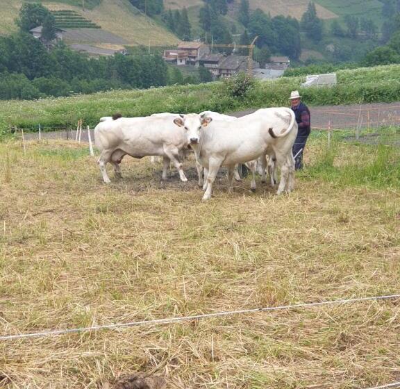 Bed and Breakfast Antica Casa Occitana