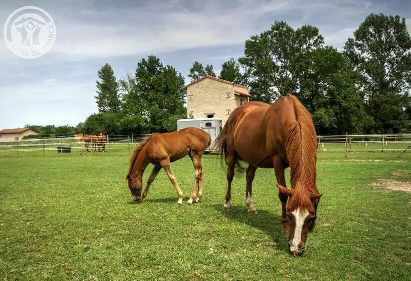ベッドアンドブレックファースト Chambres D Hôtes Ondine Et Igor