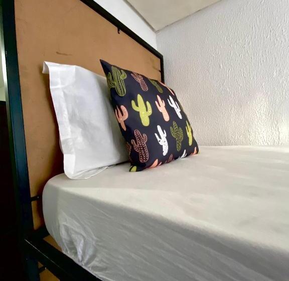 Pension Pousada E Hostel Pernambucana