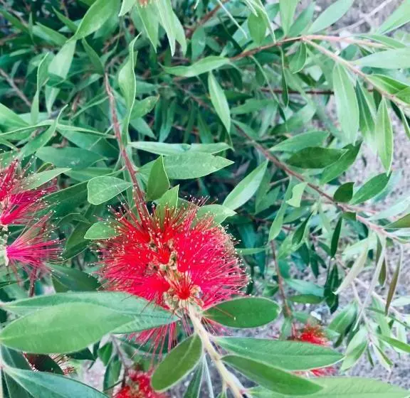 Aamiaismajoitus (B&B) Villa Mady Adultes Only