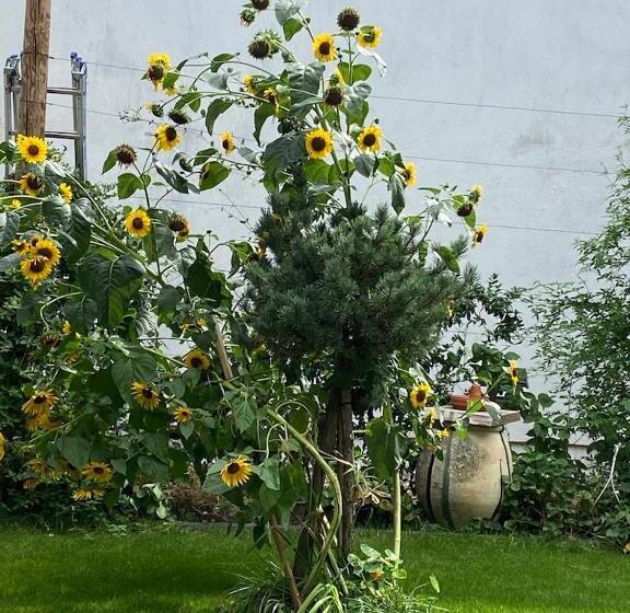 تختخواب و صبحانه Villa Mady Adultes Only