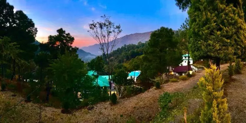 Pineland Resorts & Chalets Kasauli