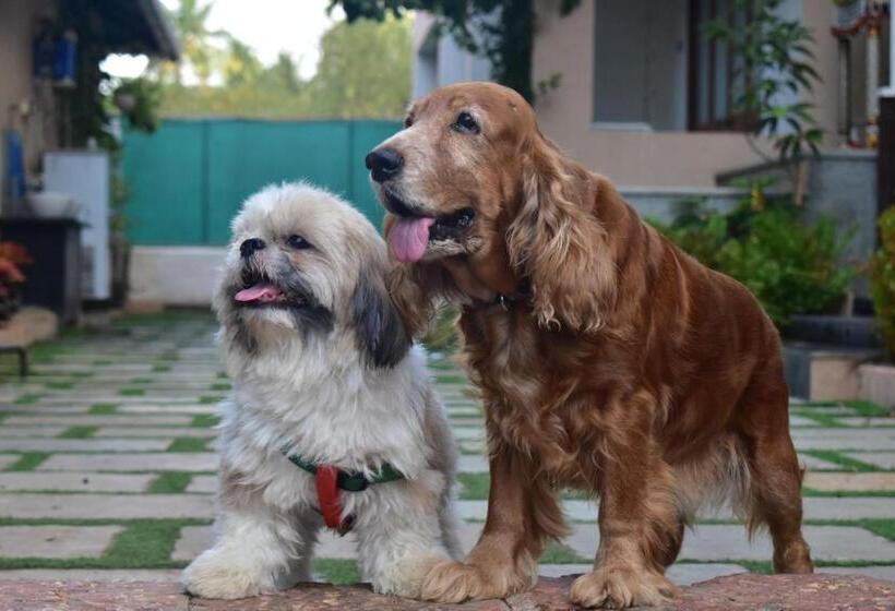 Hotel Coastal Bay Inn By Gemstone Hospitality