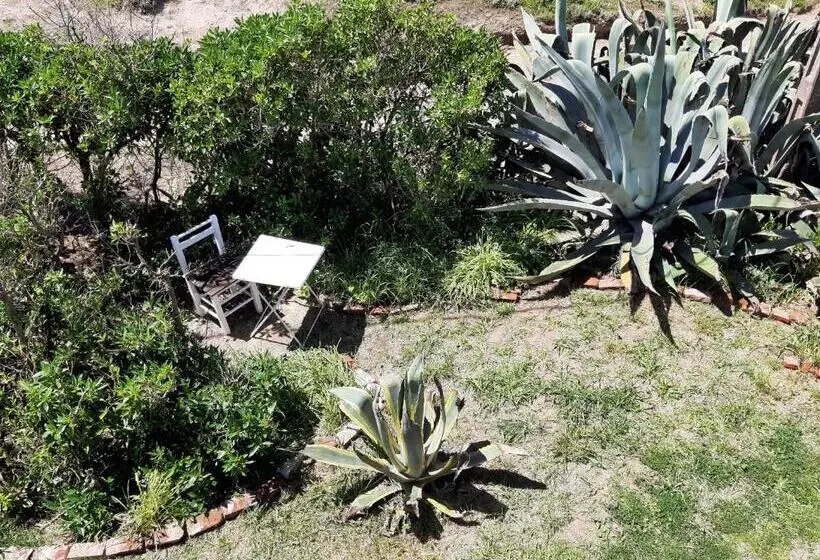 Aamiaismajoitus (B&B) Masia Del Viento