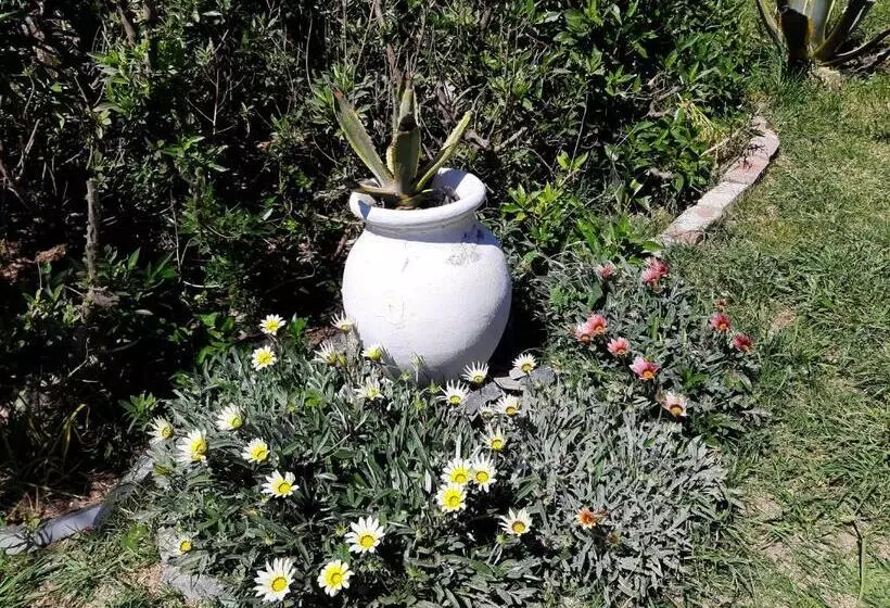 Aamiaismajoitus (B&B) Masia Del Viento