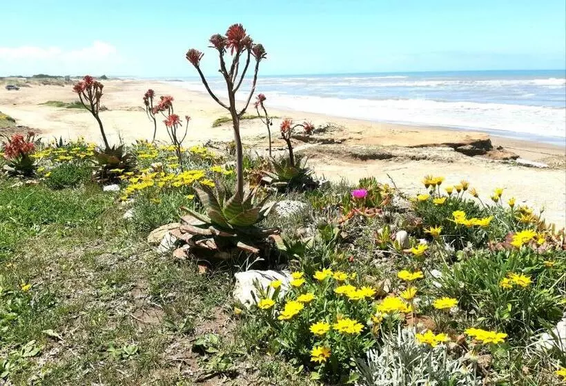 Aamiaismajoitus (B&B) Masia Del Viento