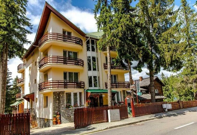 Pensiunea Turistica Andra