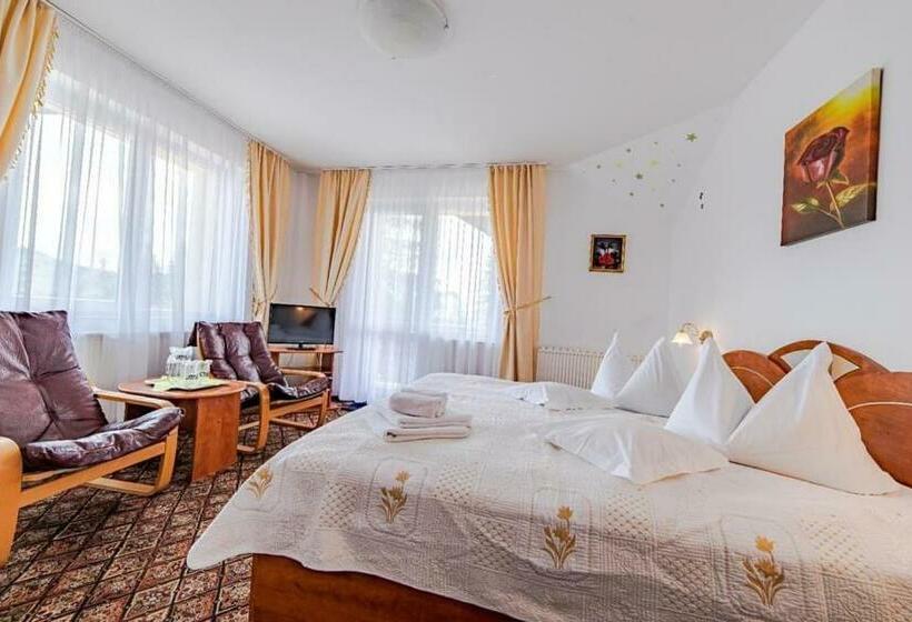 Pensiunea Turistica Andra