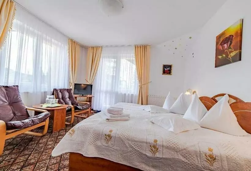 Pensiunea Turistica Andra