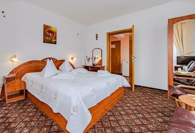 Pensiunea Turistica Andra