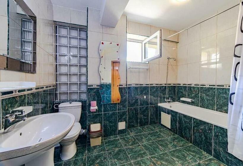 Pensiunea Turistica Andra