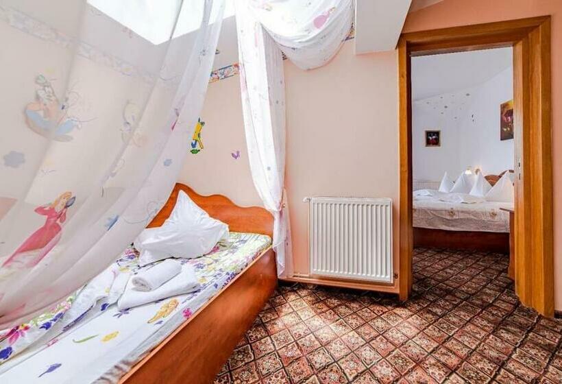 Pensiunea Turistica Andra