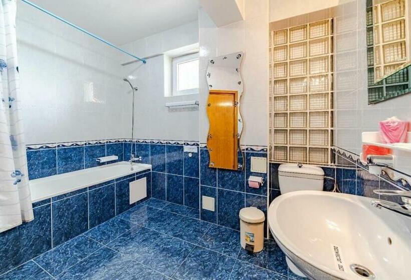 Pensiunea Turistica Andra