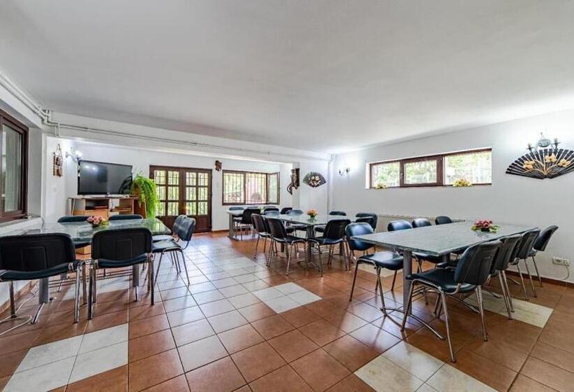 Pensiunea Turistica Andra