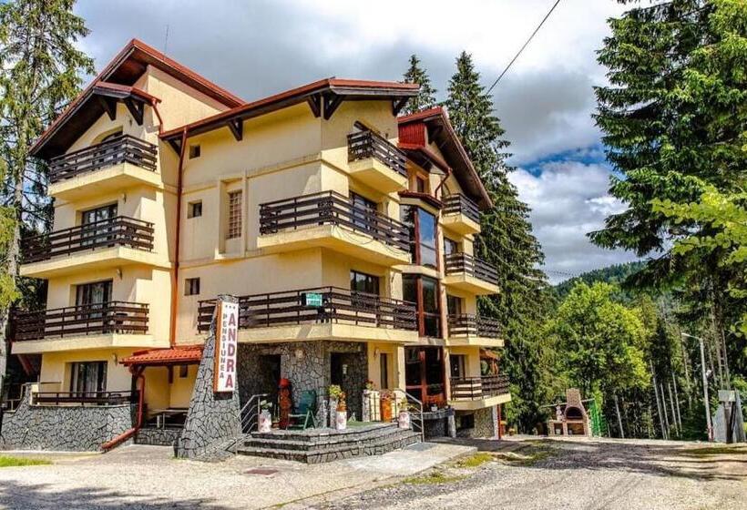 Pensiunea Turistica Andra