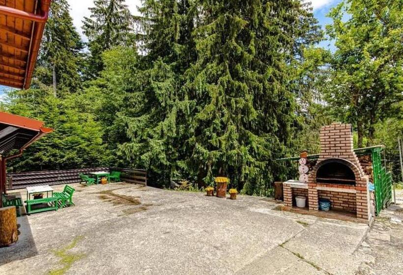 Pensiunea Turistica Andra