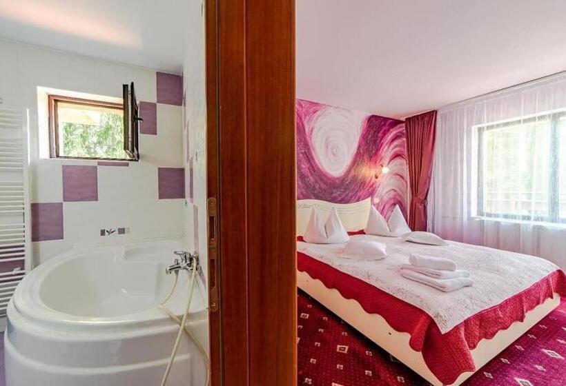 Pensiunea Turistica Andra