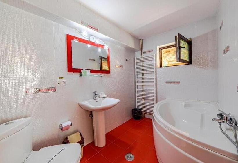 Pensiunea Turistica Andra