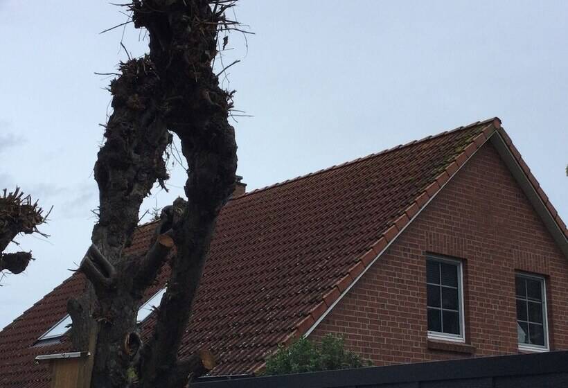 تختخواب و صبحانه Apartment Marit