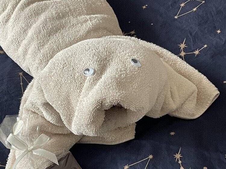 تختخواب و صبحانه Apartment Marit