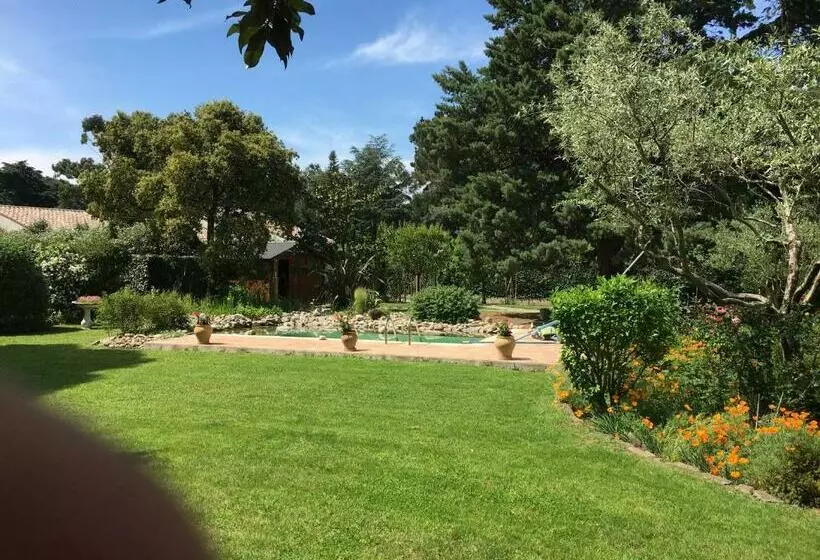 Aamiaismajoitus (B&B) Mas Pierre