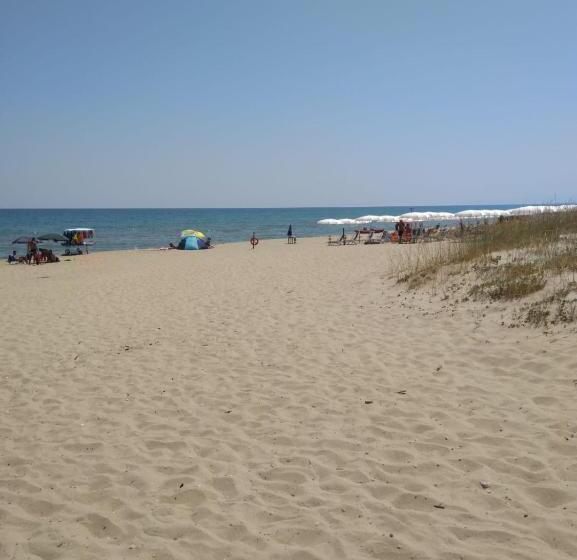 膳宿费 Castellaneta Short Term  Low Cost