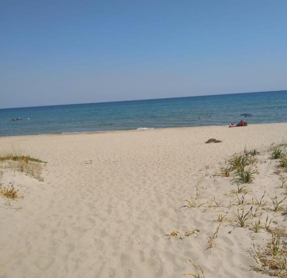 膳宿费 Castellaneta Short Term  Low Cost