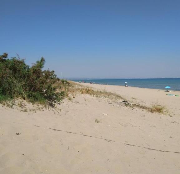 膳宿费 Castellaneta Short Term  Low Cost