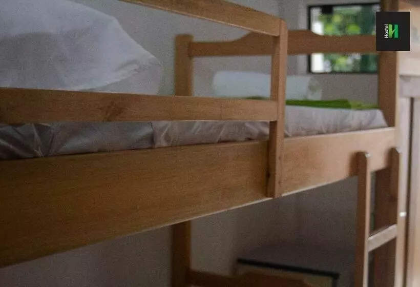 هاستل Helecho S Hostal