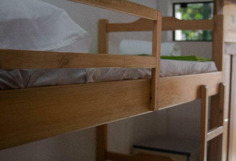 هاستل Helecho S Hostal